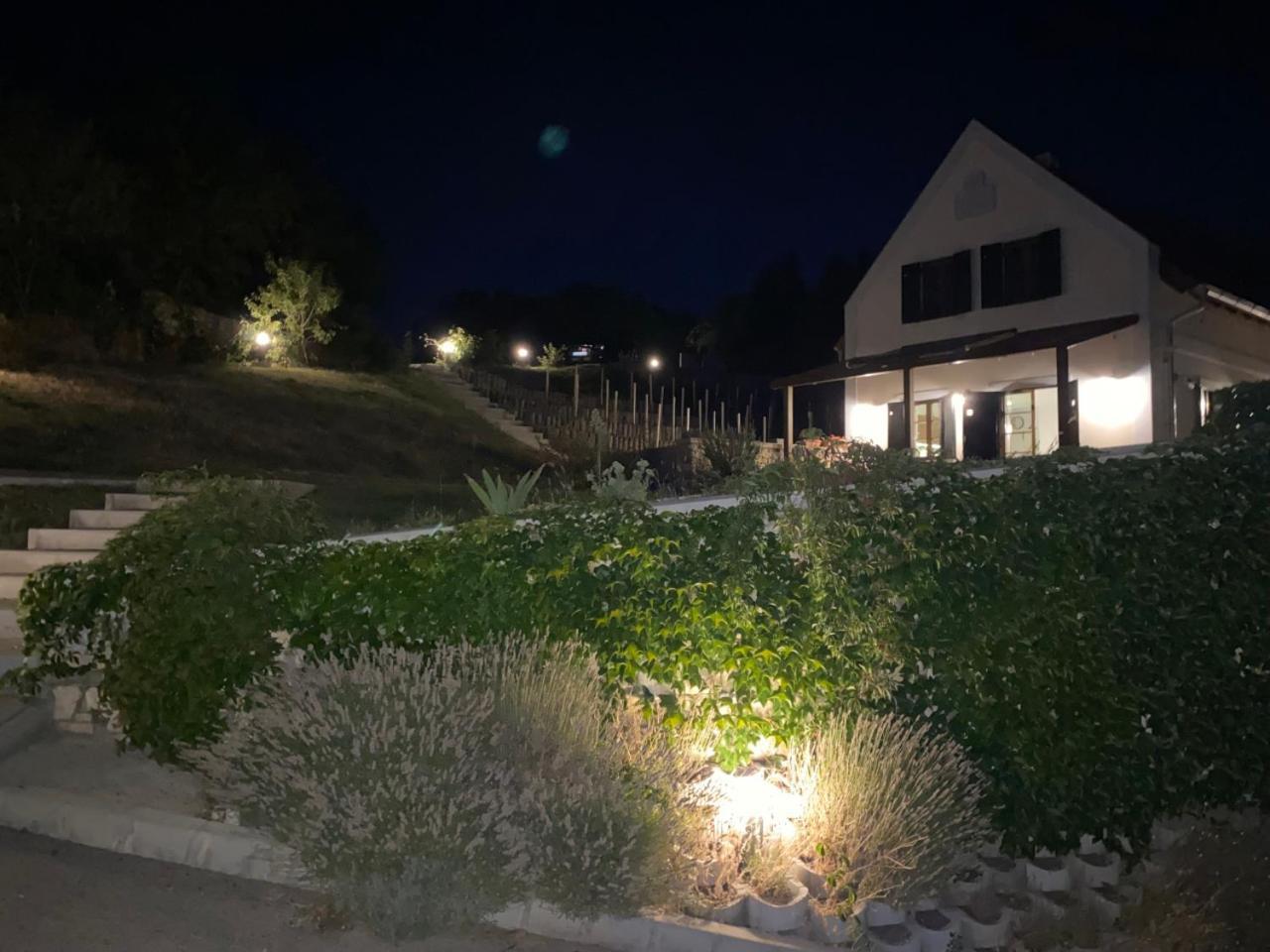 Borbora Borhaz Villa Vászoly Exteriör bild