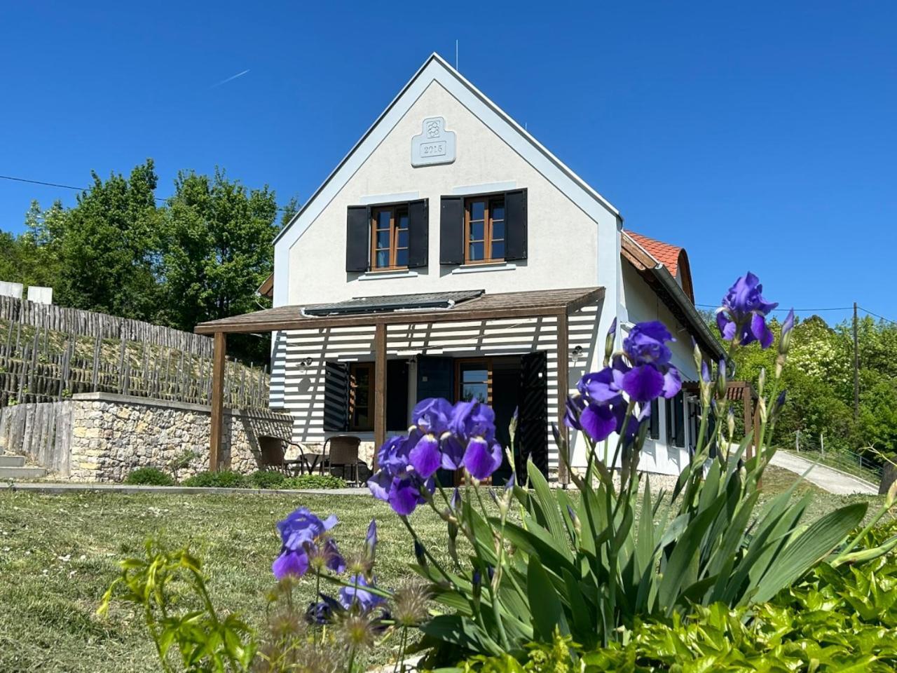 Borbora Borhaz Villa Vászoly Exteriör bild